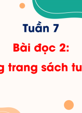 Tuần 7 - Bài đọc 2 Những trang sách tuổi thơ